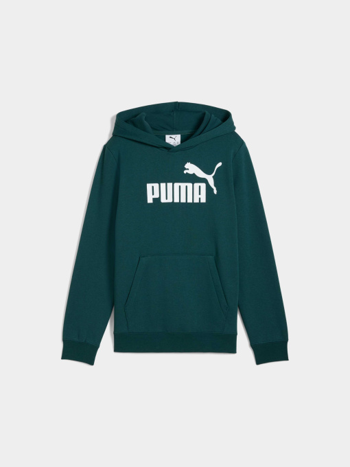Худі та світшоти PUMA Ess No. 1 Logo Hoodie Fl модель 684908 Фото