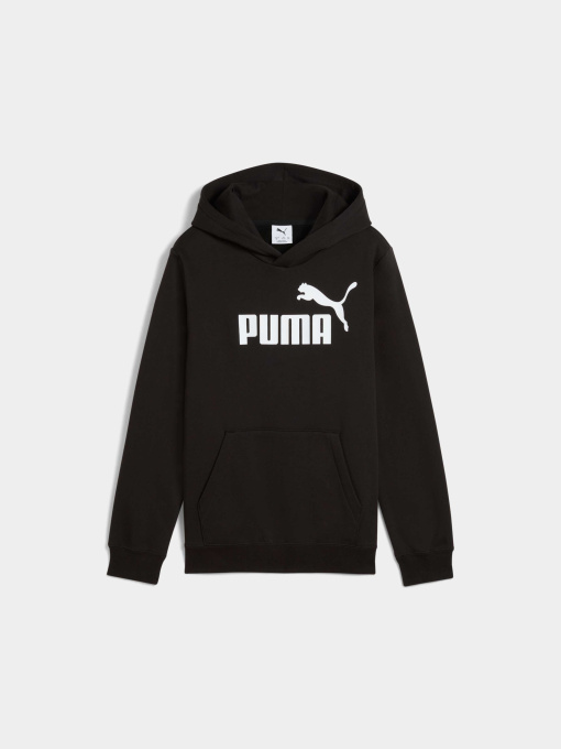 Худі та світшоти PUMA Ess No. 1 Logo Hoodie Fl модель 684908 Фото