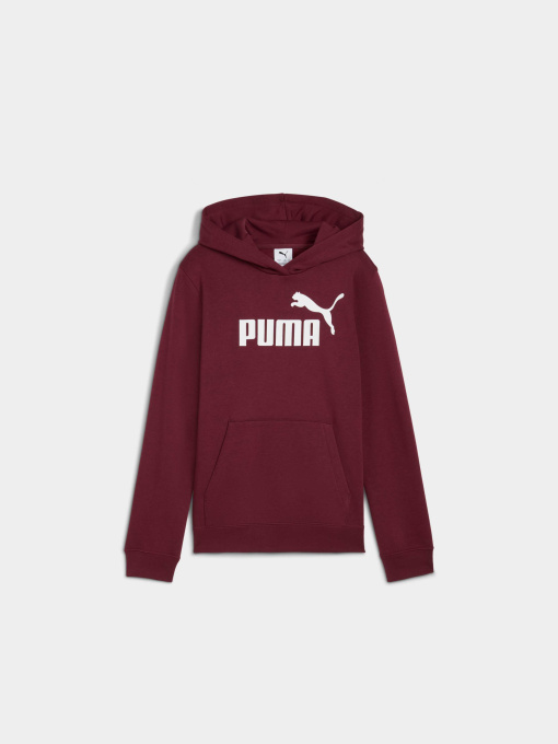 Худі та світшоти PUMA Ess No. 1 Logo Hoodie модель 684896 Фото