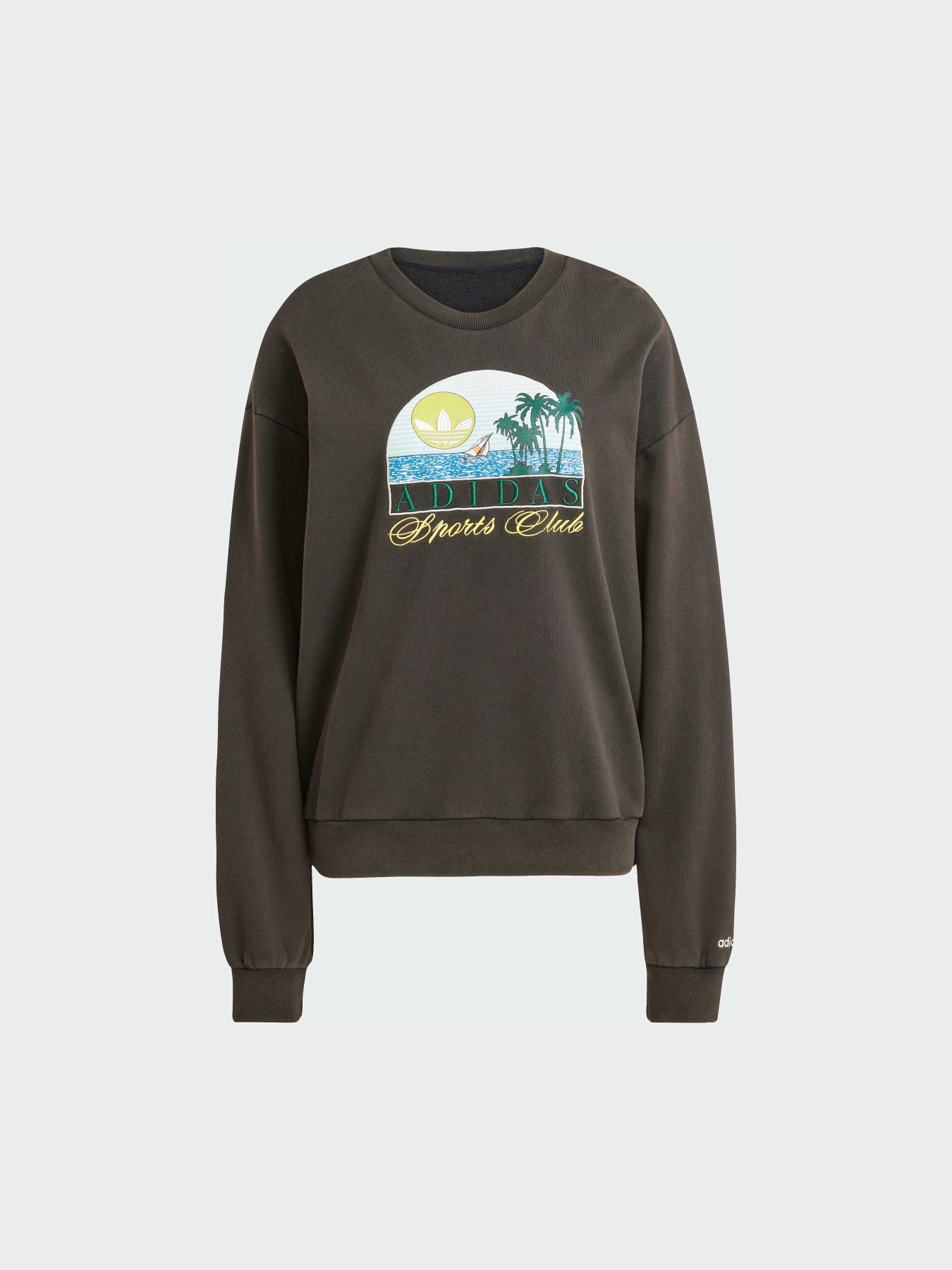 Худі та світшоти Adidas Graphics модель JN6685 Фото