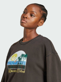 Худі та світшоти Adidas Graphics модель JN6685 Фото