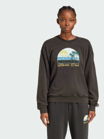 Худі та світшоти Adidas Graphics модель JN6685 Фото