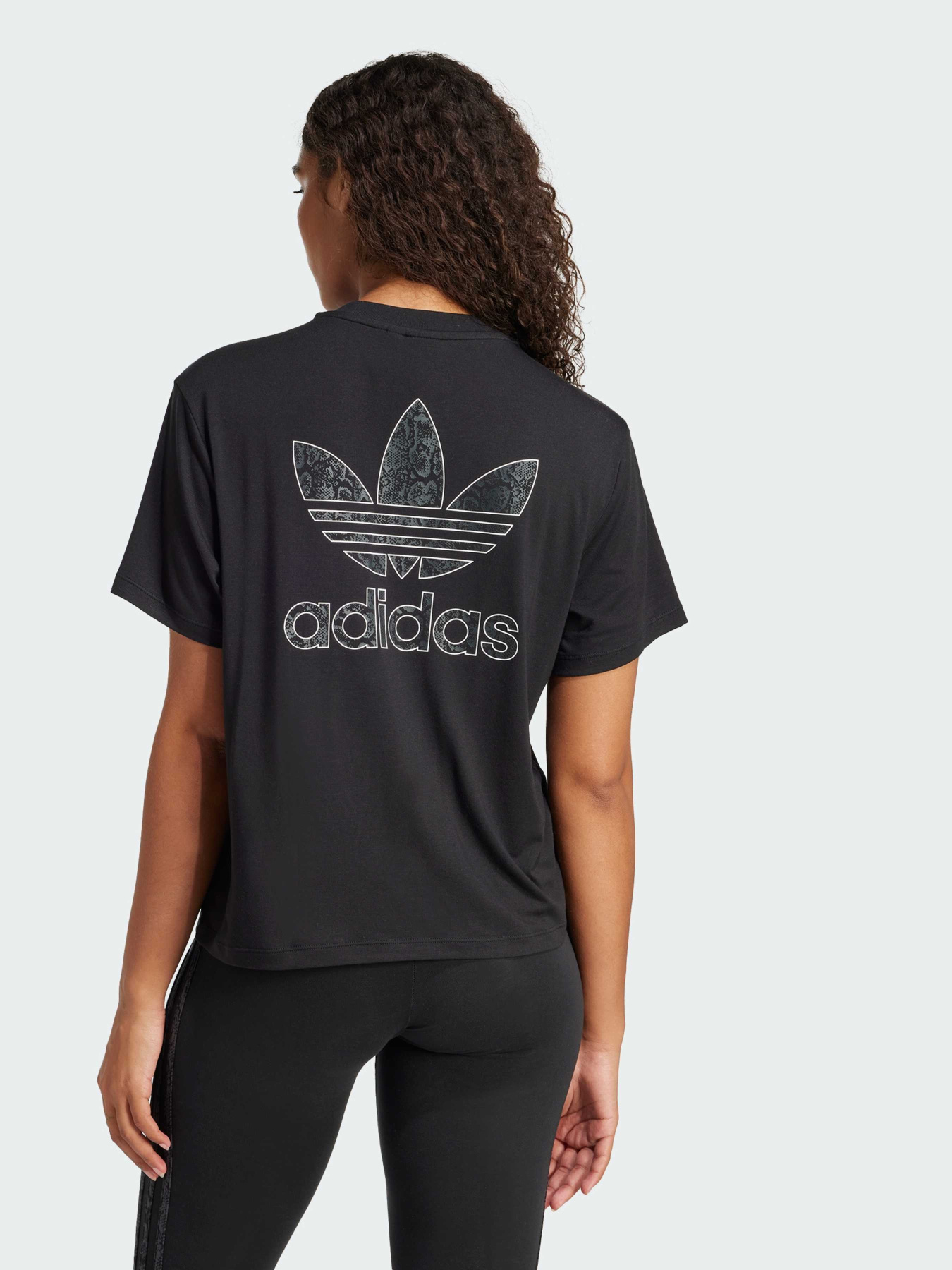 Футболки і поло Adidas Graphics модель JC5748 Фото