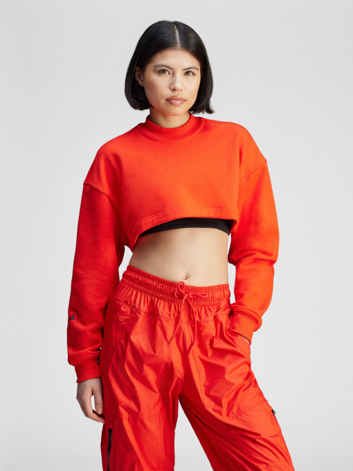 Худи и свитшоты Adidas модель JJ2574 Фото