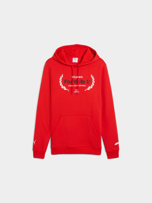 Худі та світшоти PUMA F1 Ess Logo Graphic Hoodie модель 633165 Фото