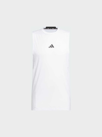 Футболки и поло Adidas Clima модель IS3795 Фото