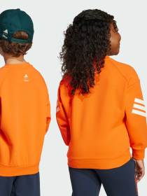 Худі та світшоти Adidas x Disney модель JL9188 Фото