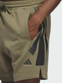 Шорты Adidas модель JN3974 Фото