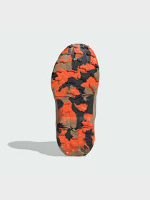 Ботинки и сапоги Adidas Terrex модель JP9993 Фото