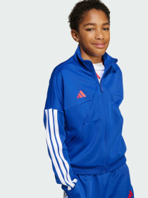 Худі та світшоти Adidas Tiro модель JW5085 Фото
