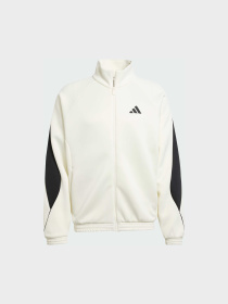 Худі та світшоти Adidas модель JX5618 Фото