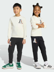 Костюми Adidas Graphics модель JX3018 Фото