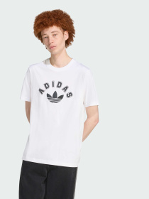 Футболки и поло Adidas Graphics модель JV7752 Фото