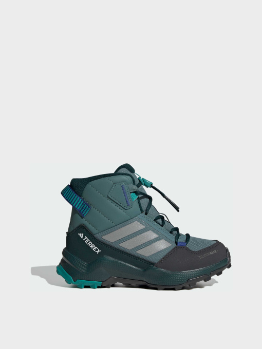 Ботинки и сапоги Adidas Terrex модель JS2923 Фото