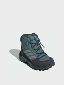 Черевики та чоботи Adidas Terrex модель JS2923 Фото