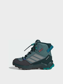 Черевики та чоботи Adidas Terrex модель JS2923 Фото