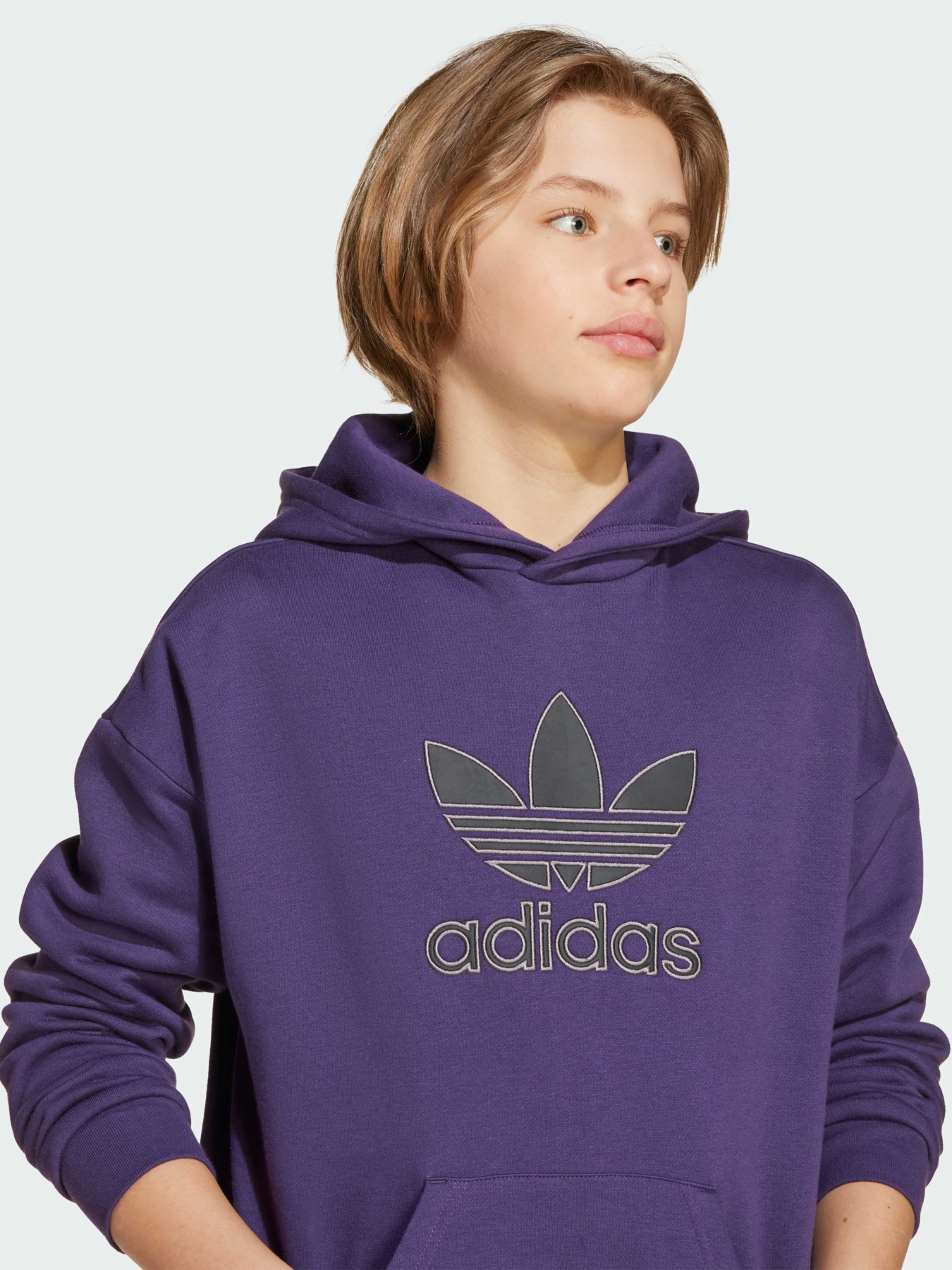 Худи и свитшоты Adidas Adicolor модель JV8653 Фото