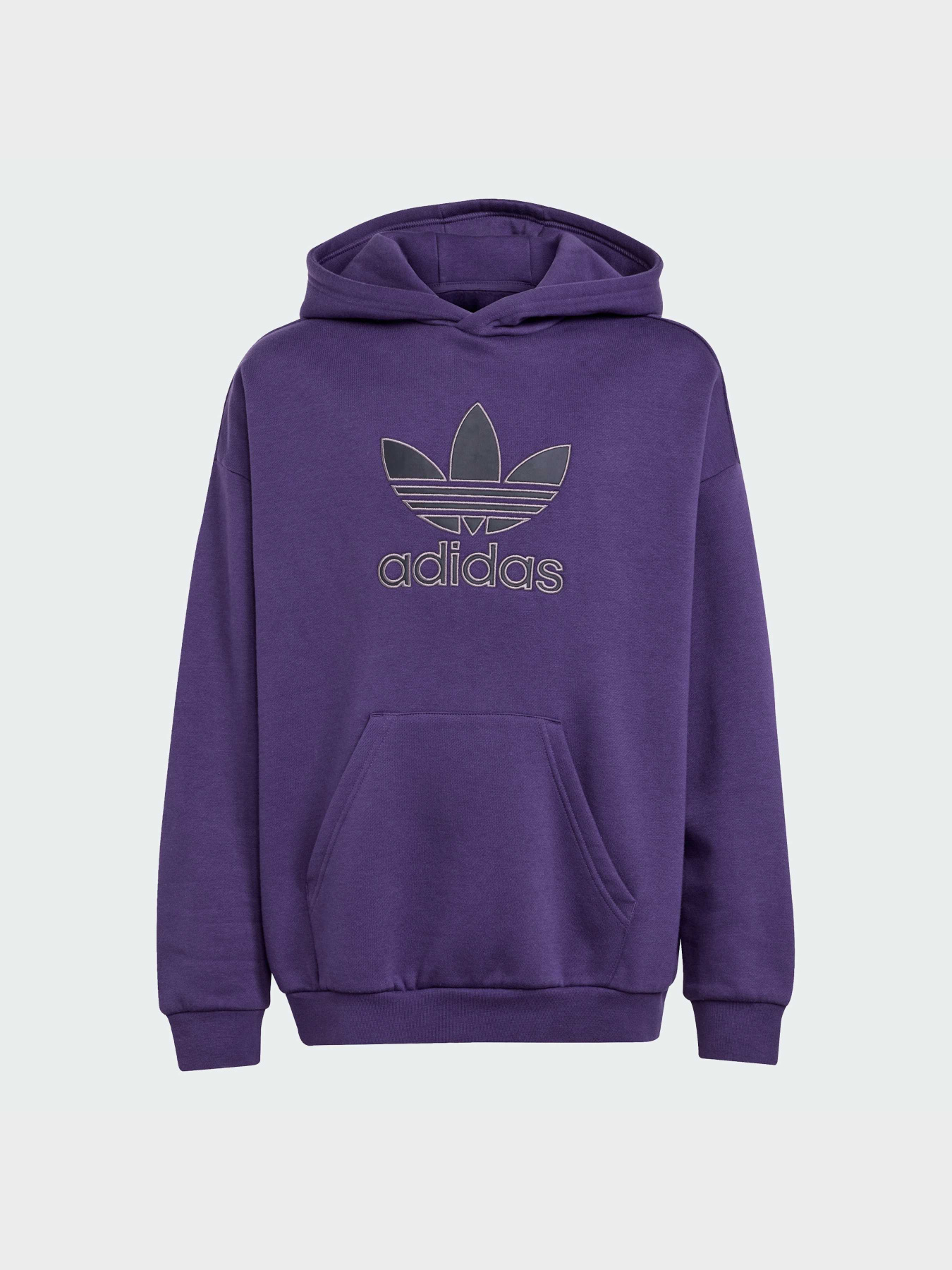 Худи и свитшоты Adidas Adicolor модель JV8653 Фото
