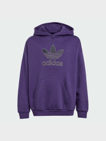 Худи и свитшоты Adidas Adicolor модель JV8653 Фото