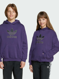 Худи и свитшоты Adidas Adicolor модель JV8653 Фото