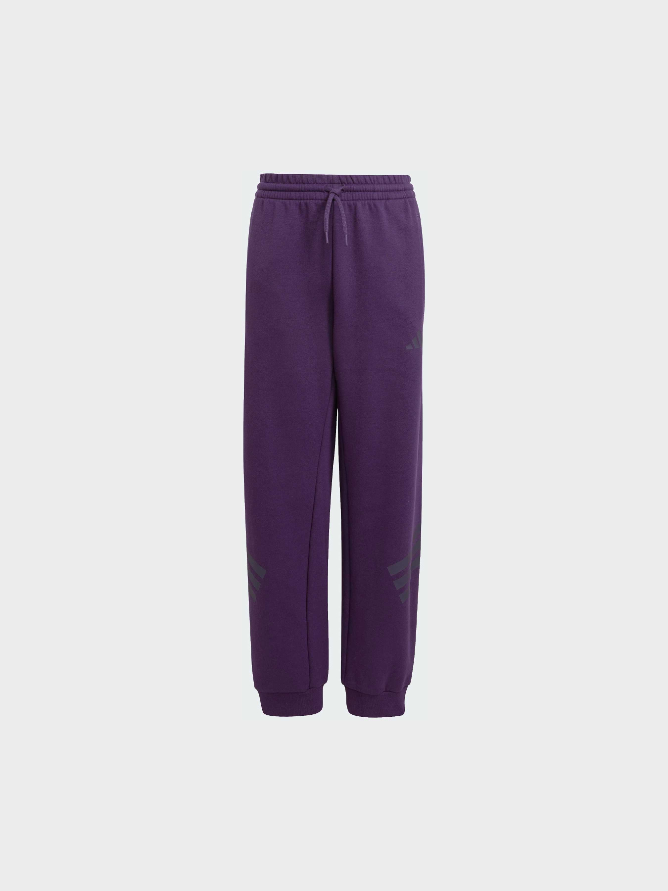 Штани Adidas модель JW7524 Штани Adidas модель JW7524 Фото