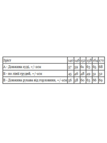 Худи и свитшоты Носи своє модель 6394-057-33-1-chornij-never Фото