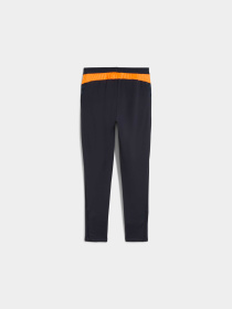 Штани PUMA Individualcup Training Pants модель 660250 Фото