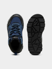 Кеди PUMA Evolve Trail Ps модель 397645 Фото