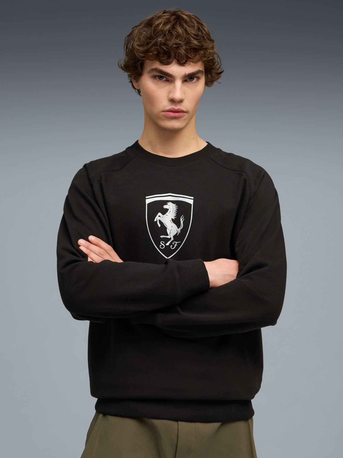 Худі та світшоти PUMA Ferrari Tonal Shield Cn модель 632788 Худі та світшоти PUMA Ferrari Tonal Shield Cn модель 632788 Фото