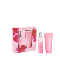 Набір Rose des Vignes 50 мл Caudalie Set 2025 CAUDALIE модель 517 Фото