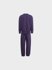Костюми Adidas модель JW2439 Фото