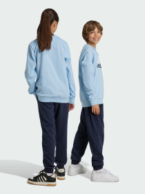 Костюми Adidas модель IY5429 Фото