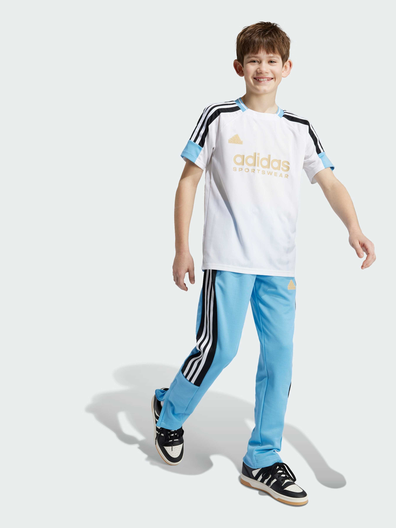 Футболки і поло Adidas Tiro модель IY0143 Фото