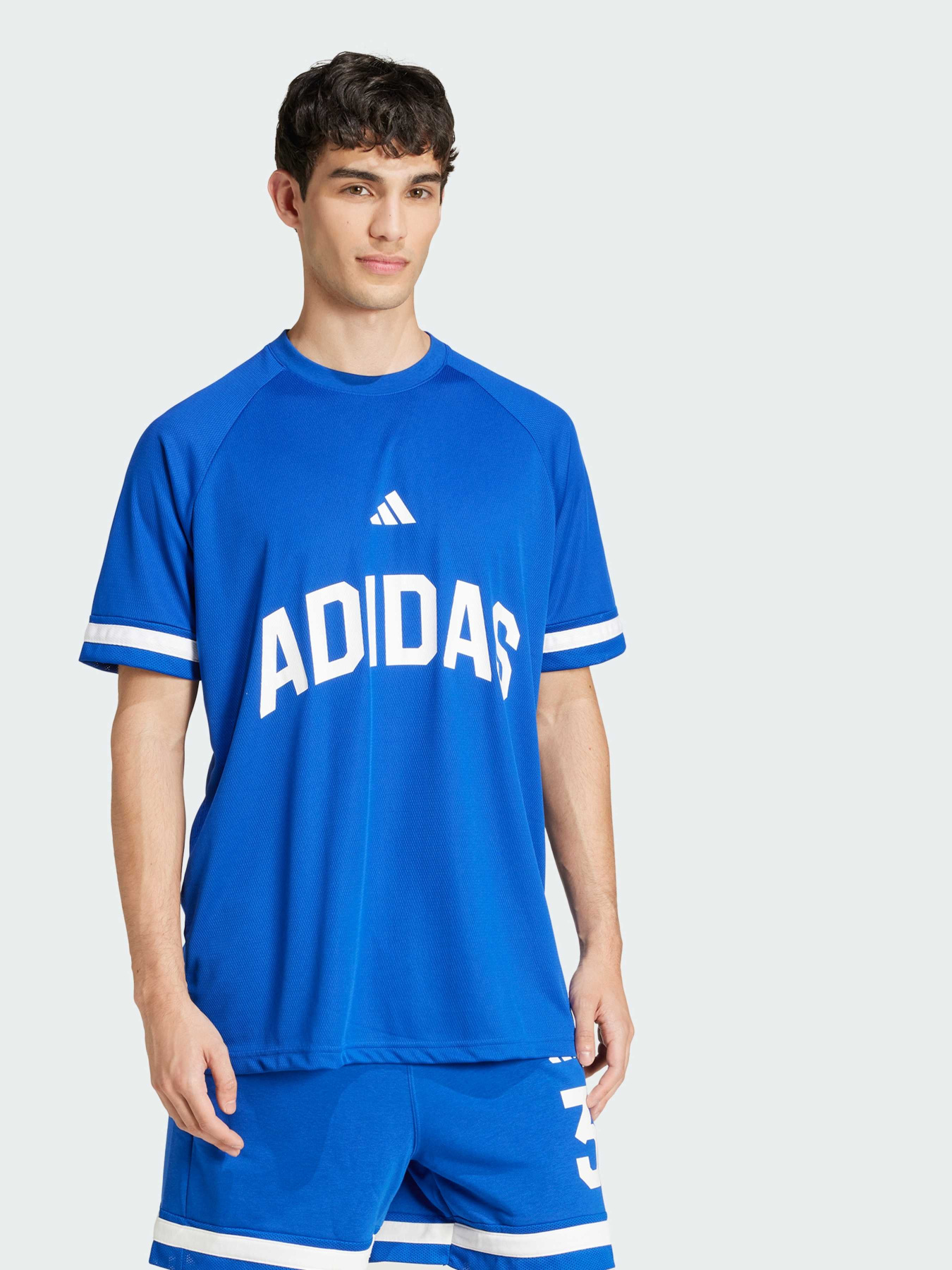 Футболки і поло Adidas модель JD8098 Фото