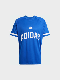 Футболки і поло Adidas модель JD8098 Фото