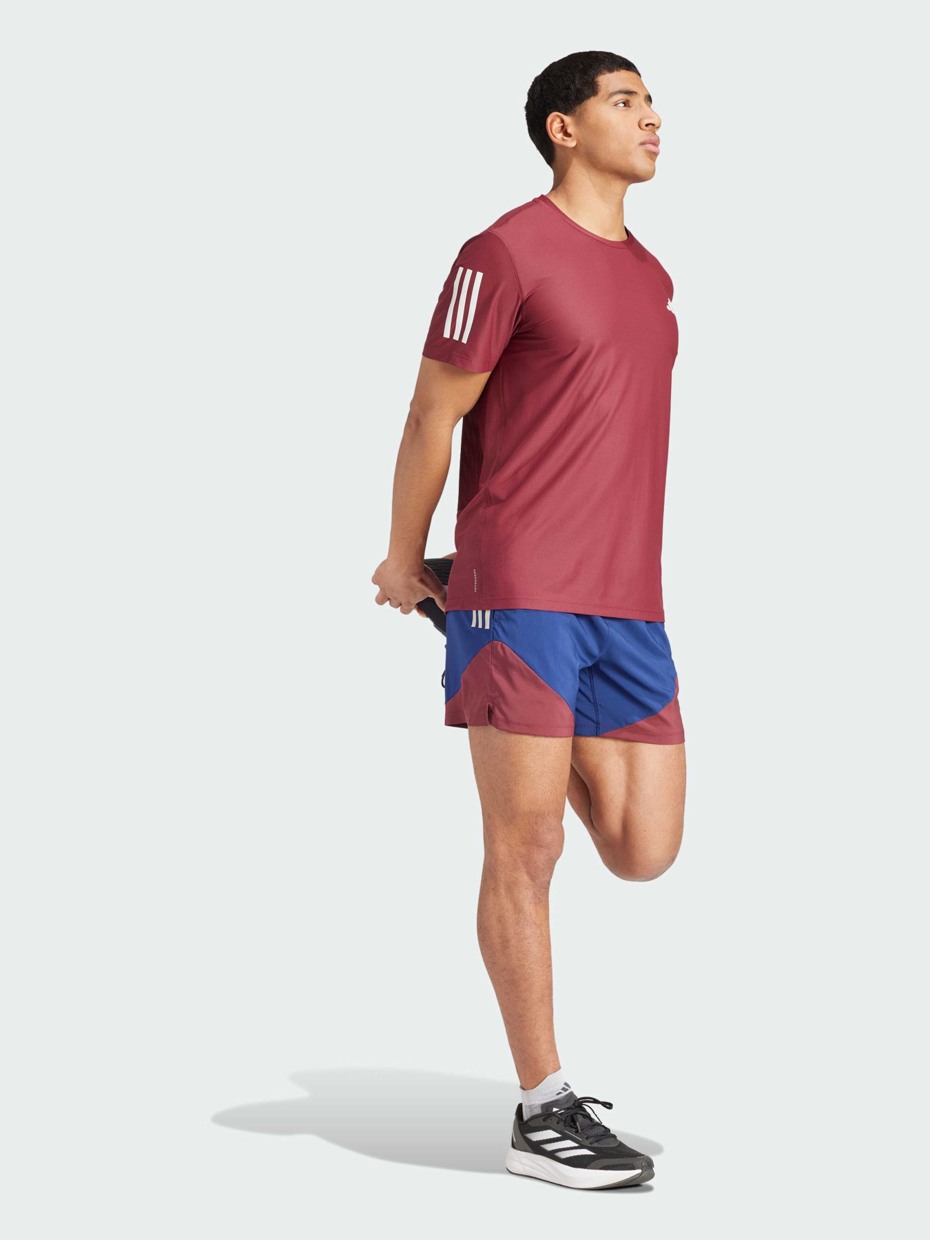 Шорти Adidas модель IM5417 Фото