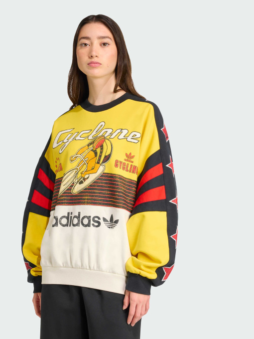 Худі та світшоти Adidas Graphics модель JW0147 Фото