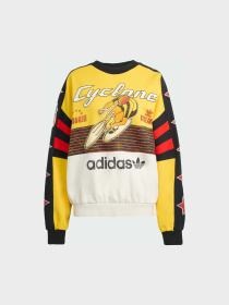 Худи и свитшоты Adidas Graphics модель JW0147 Фото