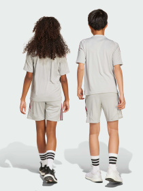 Шорти Adidas модель JX1952 Фото