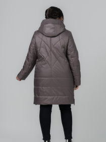 Куртки и дубленки All Posa модель ap102099p-dimchasta-troqnda Фото