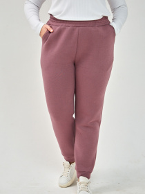 Брюки All Posa модель ap101291p-dimchasta-troqnda Фото