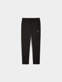 Брюки PUMA Evostripe Warm Pants модель 688239 Фото