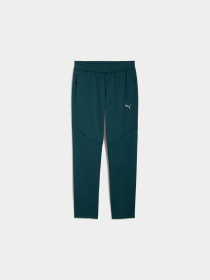 Брюки PUMA Evostripe Warm Pants модель 688239 Фото