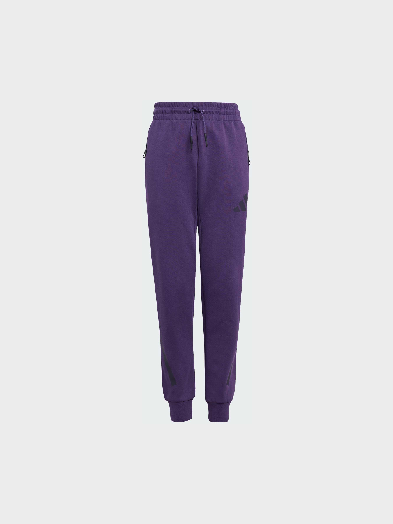 Штани Adidas ZNE модель JW2429 Фото