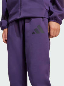 Штани Adidas ZNE модель JW2429 Фото