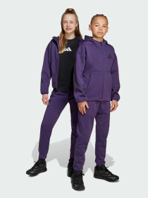 Брюки Adidas ZNE модель JW2429 Фото