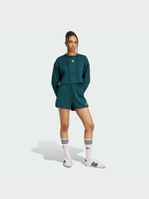 Худи и свитшоты Adidas модель JW6092 Фото