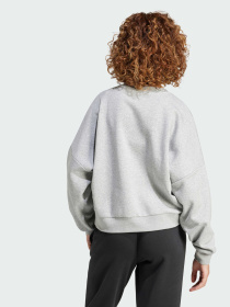 Худи и свитшоты Adidas модель IX7943 Фото