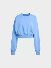 Худі та світшоти Adidas модель JV9895 Фото