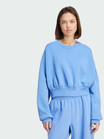Худи и свитшоты Adidas модель JV9895 Фото